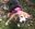 86B7C788-EDD8-40A3-A52F-5A043614F791.jpeg