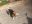 93F1A9B9-C00D-41B4-B696-3E8A73CF917E.jpeg