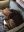 9CCBE55C-2495-4327-A45D-2C02977C74C3.jpeg