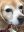 A20E1918-5AE0-4076-8513-1806837E98EA.jpeg