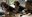 A44E3352-12EE-462D-BCED-55BB78A5B726.jpeg