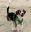 A970B82A-7990-4824-86EB-F968B74249EE.jpeg