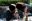 D0AC03DC-6517-4977-B001-778DAD1CD784.jpeg