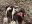 DD7AB5BD-CF2B-479D-B9AE-7C50CDFDF182.jpeg
