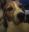 E136B12B-8411-405B-812C-74A302BAB2C2.jpeg