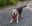 E3AEB925-4A57-42D6-9CFF-2B786A1053B6.jpeg