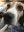 F600CFC1-71D2-4E61-9DBC-C6C4EAF56657.jpeg
