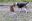 image1_2019-07-01.jpeg