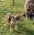 6a49aaf5-7487-4053-b11d-844d55164c29Bearbeitet.jpg