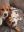 20190518_160948.jpg