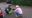 190531_Kiwi_Begrung_3.jpg