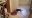 190601_Kiwi_Hunger.jpg