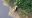 190604_Kiwi_unterwegs_2.jpg