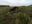 IMG-20200209-WA0001.jpg