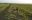 IMG-20200215-WA0021.jpg