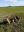 IMG-20200331-WA0011.jpg