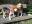 IMG-20200331-WA0014.jpg