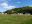 IMG-20200616-WA0001.jpg