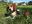IMG-20200616-WA0016.jpg