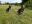 IMG-20200804-WA0002.jpg