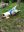 IMG-20200907-WA0007.jpg