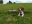 IMG-20200907-WA0011.jpg
