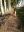 IMG-20201113-WA0000.jpg