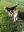 IMG-20201113-WA0001.jpg