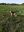 IMG-20201113-WA0002.jpg