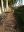 IMG-20201113-WA0003.jpg