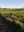 IMG-20201113-WA0004.jpg