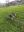 IMG-20210428-WA0001.jpg