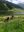 IMG-20210713-WA0004.jpg