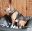 Fiete_2019-07-23-2.jpg