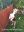 IMG-20191222-WA0158.jpg