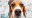 Bildschirmfoto2019-09-11um10.45.53-min.png