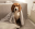 Bildschirmfoto2019-09-11um10.46.24-min.png