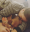 Bildschirmfoto2019-09-11um10.46.55-min.png