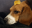 Bildschirmfoto2019-09-12um11.59.06-min.png