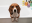 Bildschirmfoto2019-09-12um11.59.47-min.png