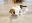 Bildschirmfoto2019-09-12um12.00.21-min.png