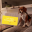 Bildschirmfoto2019-09-13um12.19.02-min.png