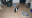 Bildschirmfoto2019-09-13um12.19.28-min.png
