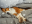 Bildschirmfoto2019-09-13um12.21.36-min.png