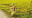 Bildschirmfoto2019-09-13um12.22.02-min.png