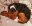 Bildschirmfoto2019-09-13um12.24.08-min.png