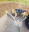 Bildschirmfoto2019-09-13um12.25.50-min.png