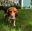 FB_IMG_1572010092454.jpg