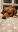 IMG-20220331-WA0002.jpeg