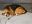 IMG-20191212-WA0065.jpg